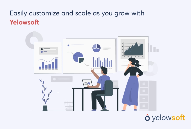 customize-and-scale-as-you-grow-with-yelowsoft