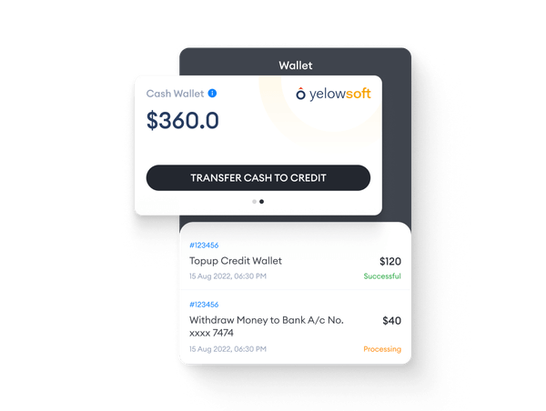 real-time-drivers-earnings